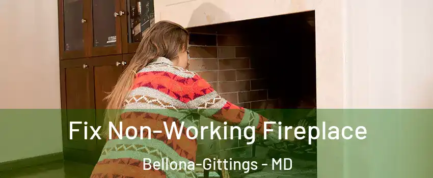 Fix Non-Working Fireplace Bellona-Gittings - MD