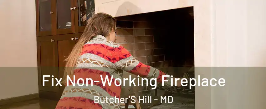Fix Non-Working Fireplace Butcher'S Hill - MD