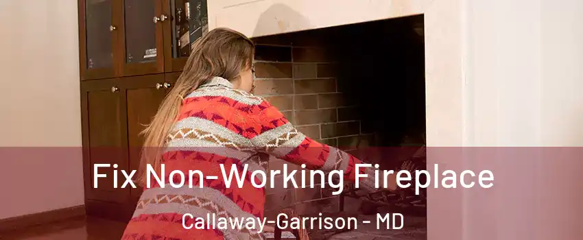 Fix Non-Working Fireplace Callaway-Garrison - MD