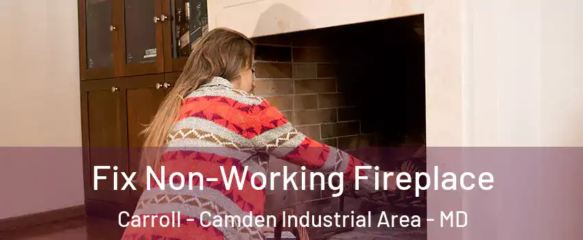 Fix Non-Working Fireplace Carroll - Camden Industrial Area - MD