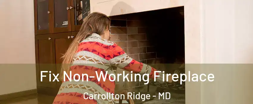 Fix Non-Working Fireplace Carrollton Ridge - MD
