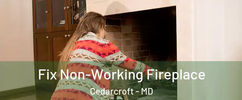 Fix Non-Working Fireplace Cedarcroft - MD