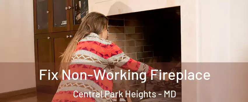 Fix Non-Working Fireplace Central Park Heights - MD