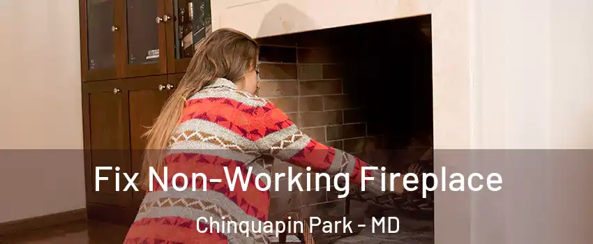 Fix Non-Working Fireplace Chinquapin Park - MD