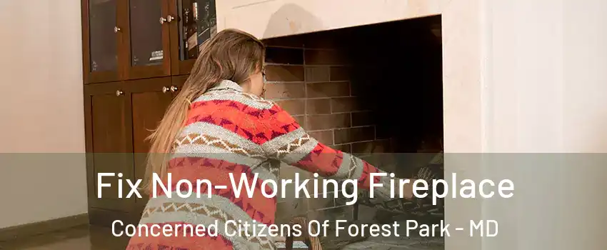 Fix Non-Working Fireplace Concerned Citizens Of Forest Park - MD