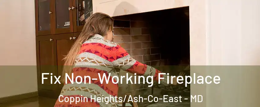Fix Non-Working Fireplace Coppin Heights/Ash-Co-East - MD