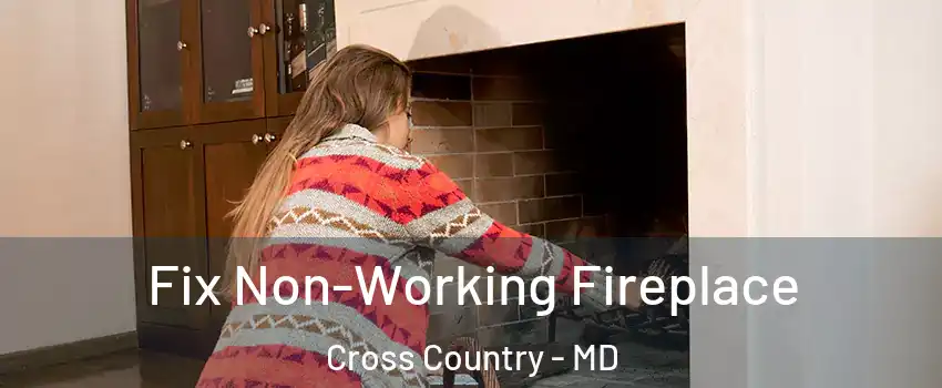 Fix Non-Working Fireplace Cross Country - MD