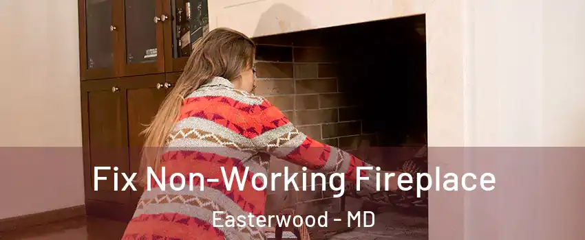 Fix Non-Working Fireplace Easterwood - MD