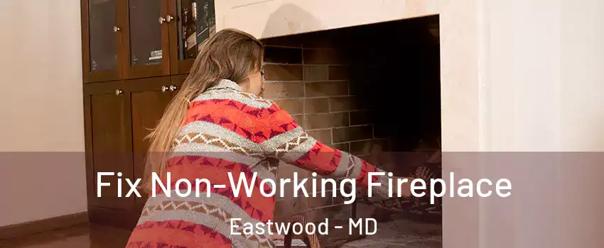 Fix Non-Working Fireplace Eastwood - MD