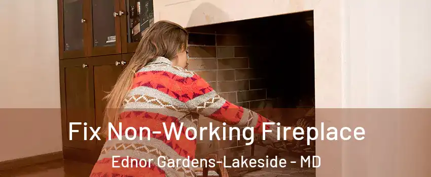 Fix Non-Working Fireplace Ednor Gardens-Lakeside - MD