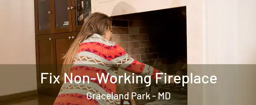 Fix Non-Working Fireplace Graceland Park - MD