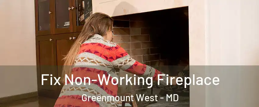 Fix Non-Working Fireplace Greenmount West - MD