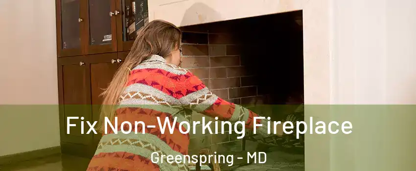 Fix Non-Working Fireplace Greenspring - MD