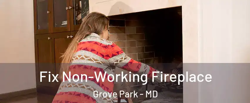 Fix Non-Working Fireplace Grove Park - MD