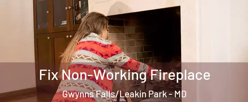 Fix Non-Working Fireplace Gwynns Falls/Leakin Park - MD