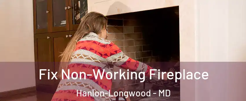 Fix Non-Working Fireplace Hanlon-Longwood - MD