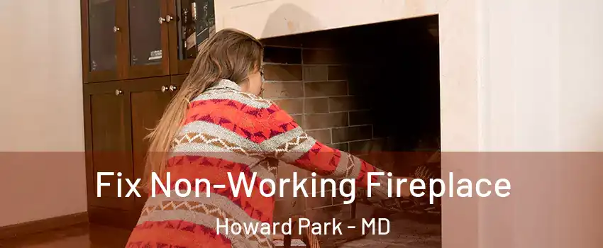Fix Non-Working Fireplace Howard Park - MD