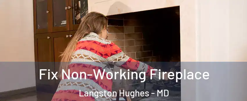 Fix Non-Working Fireplace Langston Hughes - MD