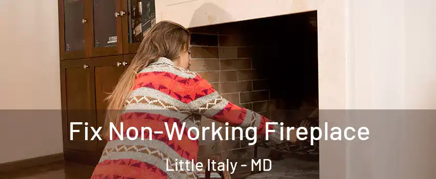 Fix Non-Working Fireplace Little Italy - MD