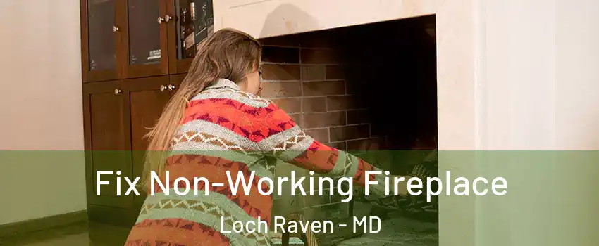 Fix Non-Working Fireplace Loch Raven - MD