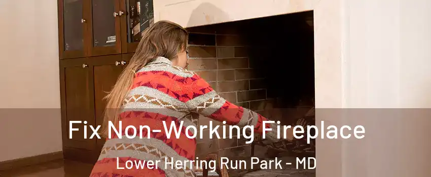Fix Non-Working Fireplace Lower Herring Run Park - MD