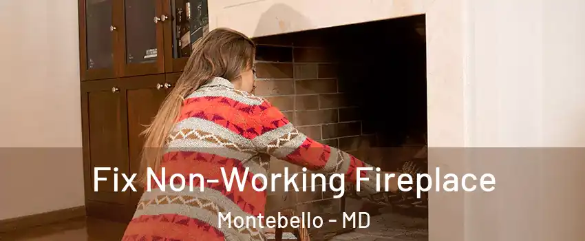 Fix Non-Working Fireplace Montebello - MD