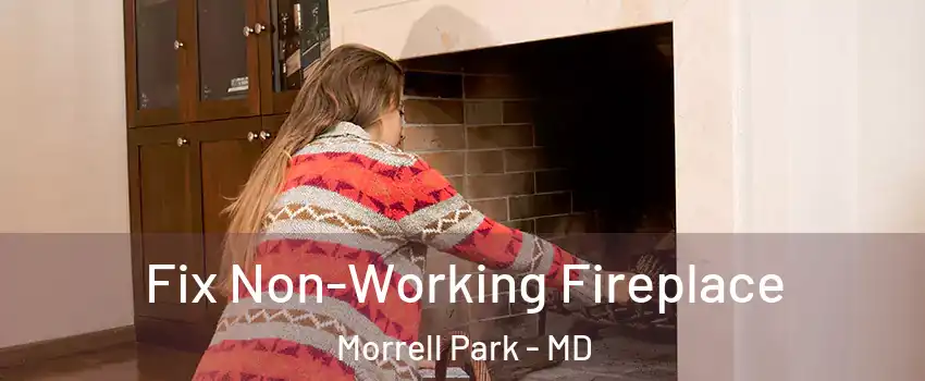 Fix Non-Working Fireplace Morrell Park - MD