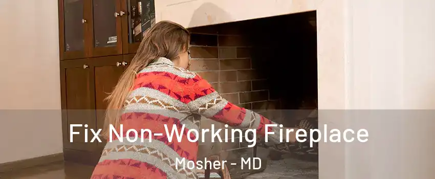 Fix Non-Working Fireplace Mosher - MD