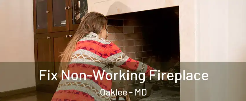 Fix Non-Working Fireplace Oaklee - MD