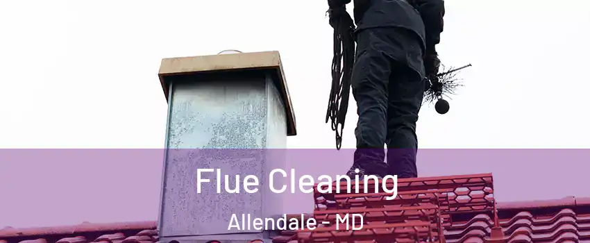 Flue Cleaning Allendale - MD