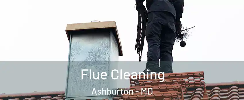 Flue Cleaning Ashburton - MD