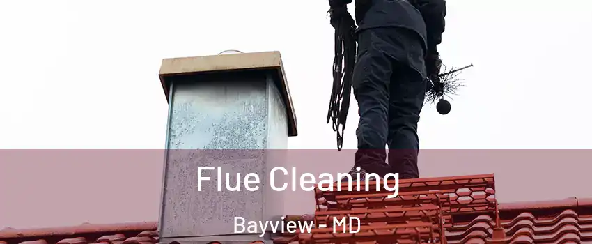Flue Cleaning Bayview - MD