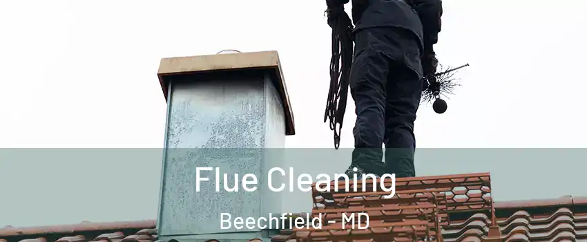 Flue Cleaning Beechfield - MD