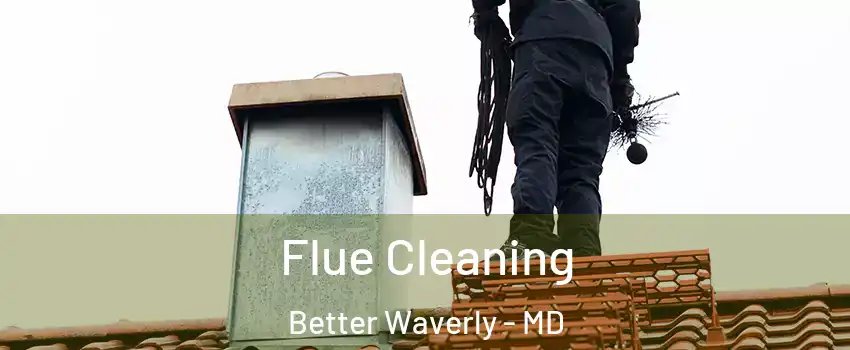 Flue Cleaning Better Waverly - MD