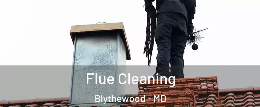 Flue Cleaning Blythewood - MD
