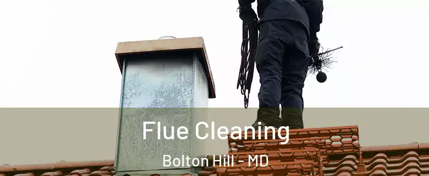 Flue Cleaning Bolton Hill - MD