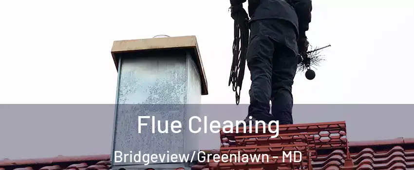 Flue Cleaning Bridgeview/Greenlawn - MD