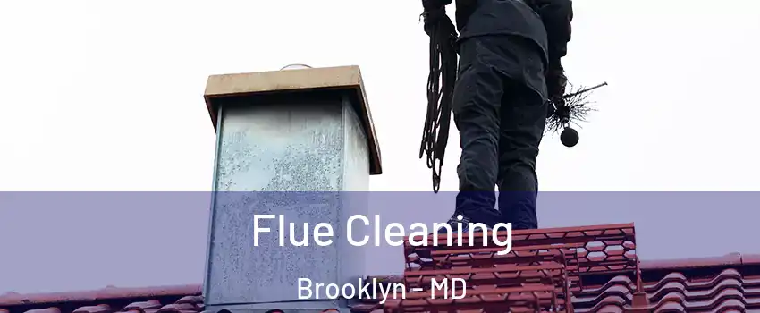 Flue Cleaning Brooklyn - MD