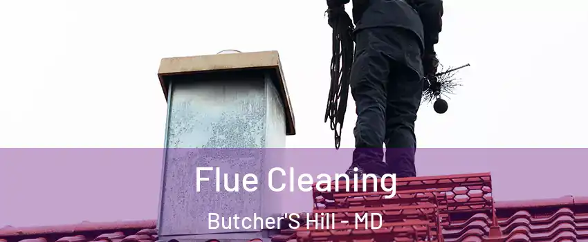 Flue Cleaning Butcher'S Hill - MD