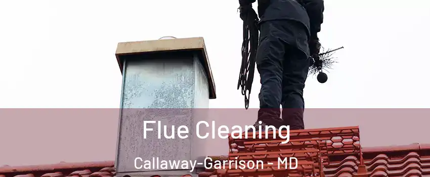 Flue Cleaning Callaway-Garrison - MD