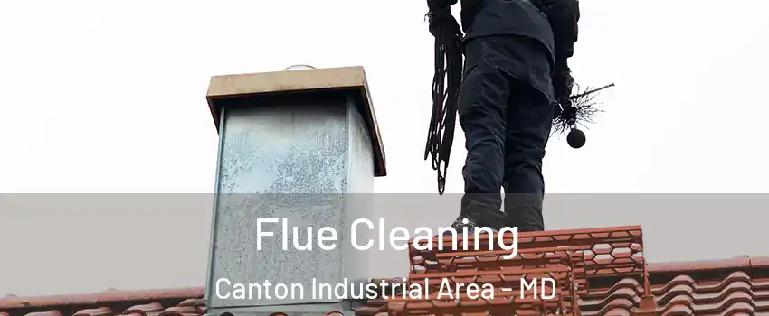 Flue Cleaning Canton Industrial Area - MD