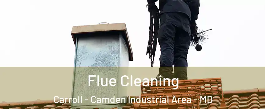 Flue Cleaning Carroll - Camden Industrial Area - MD