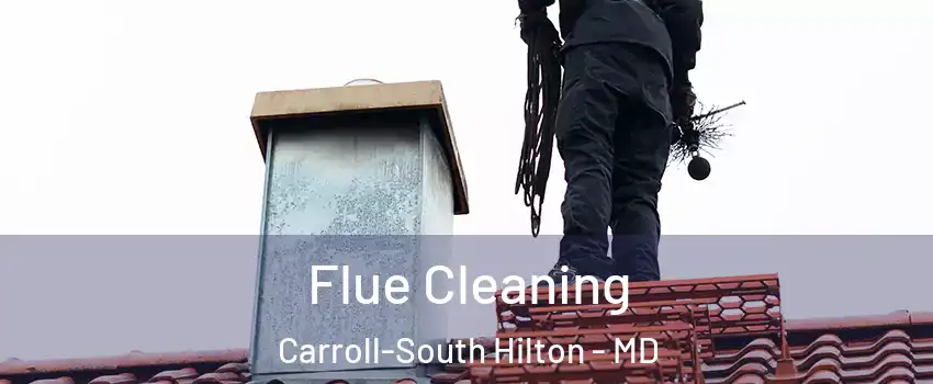 Flue Cleaning Carroll-South Hilton - MD