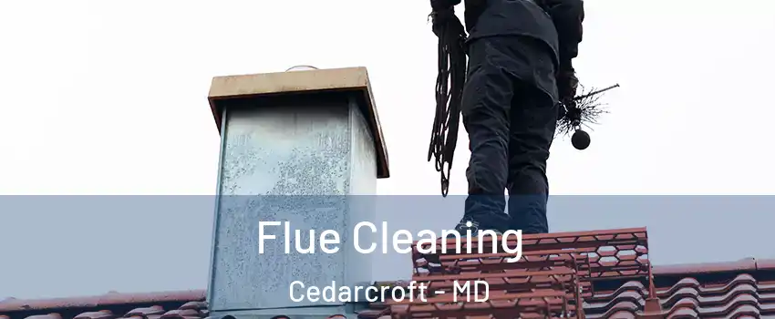 Flue Cleaning Cedarcroft - MD