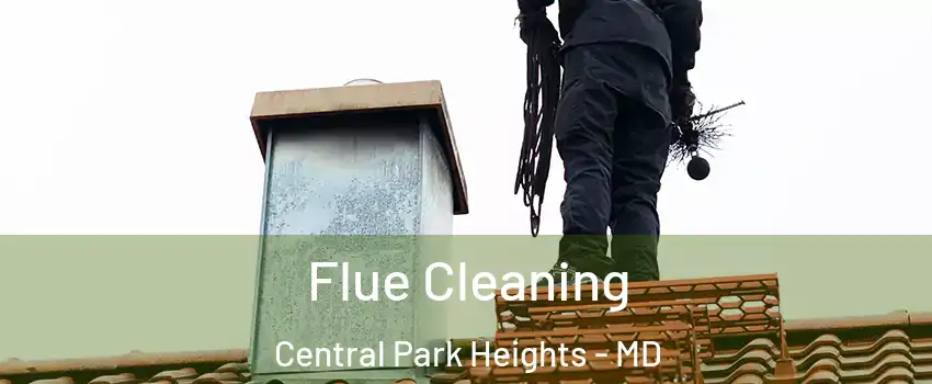 Flue Cleaning Central Park Heights - MD