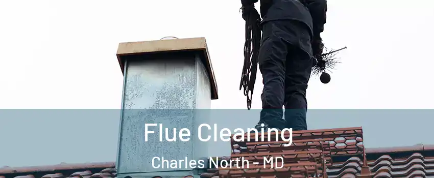 Flue Cleaning Charles North - MD