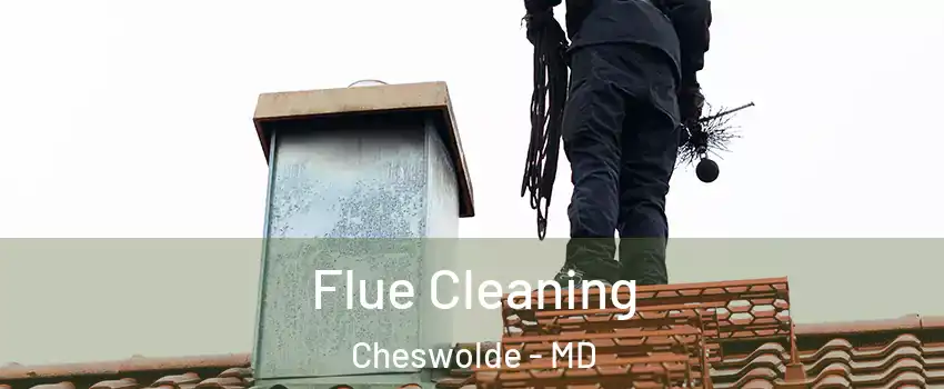 Flue Cleaning Cheswolde - MD