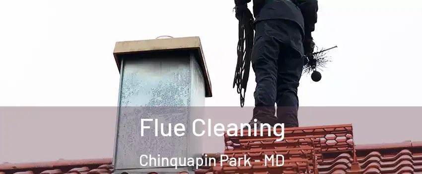 Flue Cleaning Chinquapin Park - MD