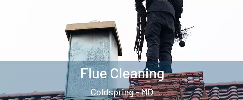 Flue Cleaning Coldspring - MD