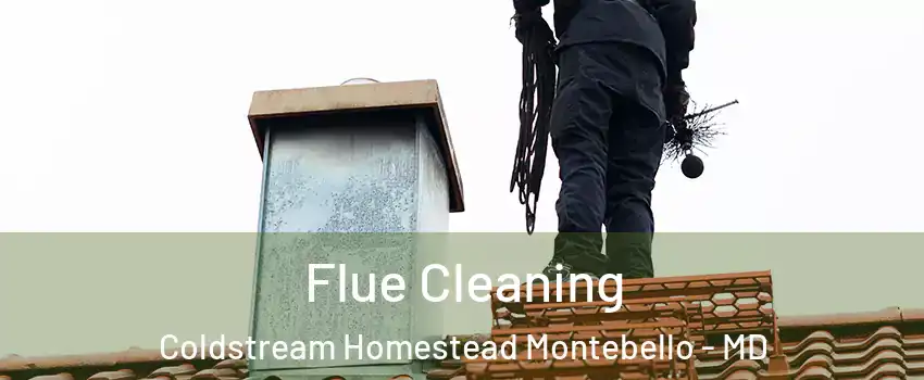 Flue Cleaning Coldstream Homestead Montebello - MD